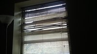 Window of Opportunity screenshot, image №2323171 - RAWG