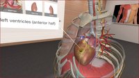 3D Organon VR Anatomy screenshot, image №133207 - RAWG