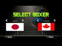 Real 3D Women Boxing Pro screenshot, image №982273 - RAWG