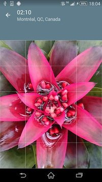 Jigsaw Puzzle: Flowers screenshot, image №1497466 - RAWG