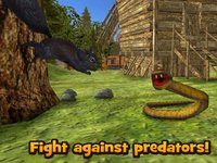 Wild Squirrel Simulator 3D screenshot, image №1333230 - RAWG