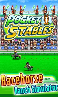 Pocket Stables screenshot, image №680353 - RAWG