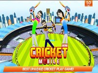 2017 Cricket World Championship Game screenshot, image №1743311 - RAWG