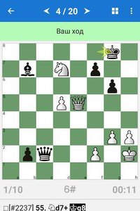 Sergey Karjakin - Elite Chess Player screenshot, image №1504030 - RAWG