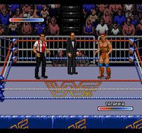 WWF Rage in the Cage screenshot, image №740434 - RAWG