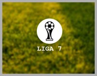 Liga 7 screenshot, image №3345115 - RAWG