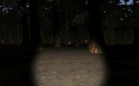 ALONE IN THE DARK FOREST BETA screenshot, image №2450562 - RAWG