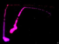 Sensory Sound Box screenshot, image №2221498 - RAWG