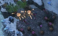 StarCraft II: Heart of the Swarm screenshot, image №505771 - RAWG