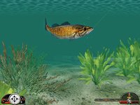 In-Fisherman Freshwater Trophies screenshot, image №407308 - RAWG