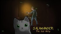 Salamander: The Lost Kitty screenshot, image №1009239 - RAWG