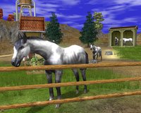 Wildlife Park 2: Horses screenshot, image №493890 - RAWG