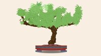 Bonsai Builder screenshot, image №3121927 - RAWG