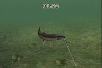 Reel Fishing Challenge screenshot, image №788969 - RAWG