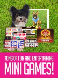 BOOM BINGO: Live Video & Slots screenshot, image №1979855 - RAWG