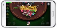 Blackjack 21 screenshot, image №1414198 - RAWG