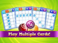 Bingo Momma Yo Big Lucky Win Fun Party Free Games screenshot, image №891047 - RAWG