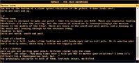 Hamlet - The text adventure screenshot, image №2252006 - RAWG