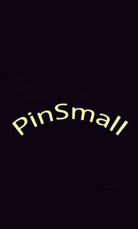 PinSmall screenshot, image №2613353 - RAWG