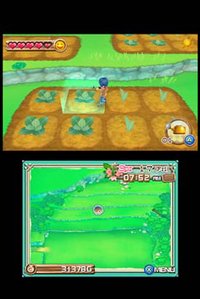 Harvest Moon 3D: A New Beginning screenshot, image №260949 - RAWG