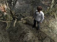 Cкриншот Silent Hill 4: The Room, изображение № 401898 - RAWG