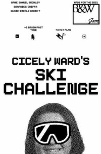 Cicely Ward's Ski Challenge screenshot, image №2786479 - RAWG