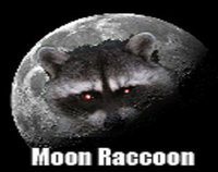 Moon Raccoon screenshot, image №1271101 - RAWG