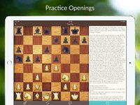 Chess Tactics and Lessons screenshot, image №2682051 - RAWG