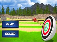 Archery Target 3D screenshot, image №1688853 - RAWG