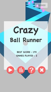 Crazy Ball Runner screenshot, image №1215180 - RAWG