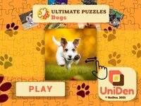 Ultimate Puzzles Dogs screenshot, image №3014833 - RAWG