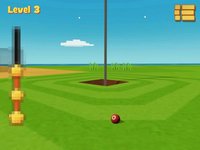 Golf Ball Filp 3D screenshot, image №1676228 - RAWG