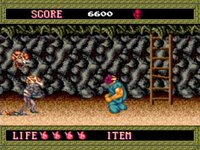 Splatterhouse (1989) screenshot, image №786469 - RAWG