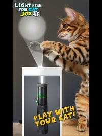 Light Beam For Cat Joke screenshot, image №2035640 - RAWG