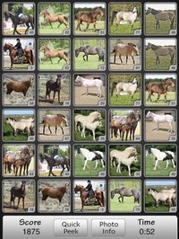 Horses Match Memory Game: Pair Up Horse Photos screenshot, image №982038 - RAWG