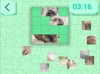 Ultimate Puzzles Animals 5 screenshot, image №2964999 - RAWG