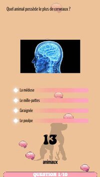 Cultur'Quizz screenshot, image №3858649 - RAWG