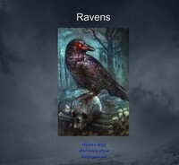 Ravens screenshot, image №3857612 - RAWG