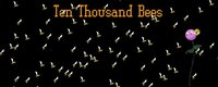 Ten Thousand Bees screenshot, image №1148148 - RAWG