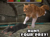 Ultimate Cat Simulator screenshot, image №955775 - RAWG