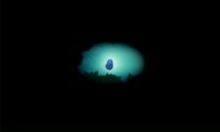 FireFly (itch) (Ai Xia) screenshot, image №3760247 - RAWG