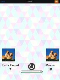 Match Card Pair.. screenshot, image №1656975 - RAWG