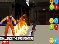 Ultimate Fighting Challenge screenshot, image №1325986 - RAWG