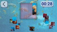 Ultimate Puzzles Marine Life 2 screenshot, image №2975208 - RAWG