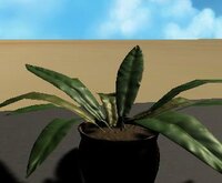 2.the plants journey. G screenshot, image №2618895 - RAWG