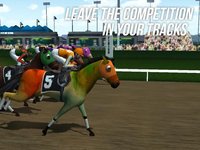 Photo Finish Horse Racing screenshot, image №1951168 - RAWG