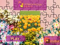 Ultimate Puzzles Flowers screenshot, image №2916994 - RAWG