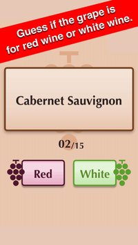 Wine Grapes screenshot, image №1670643 - RAWG