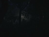 Syon Park Demo screenshot, image №2605418 - RAWG