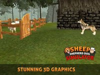 Sheep Dog: Trained Herding Dog Simulator screenshot, image №1780216 - RAWG